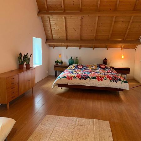 Tanti Baci! Bed & Breakfast มาสทริชท์ ภายนอก รูปภาพ